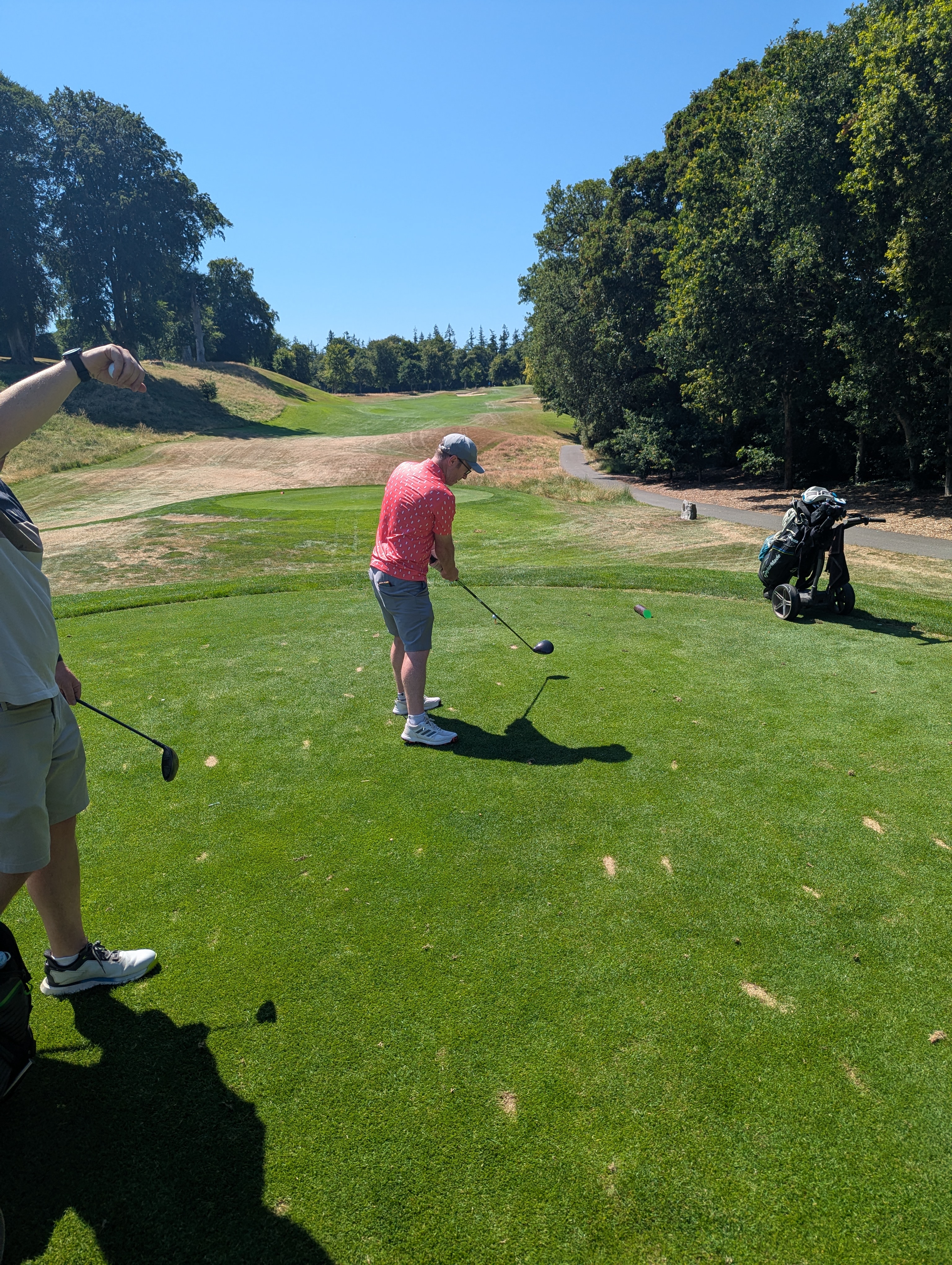 powerscourt photo 11