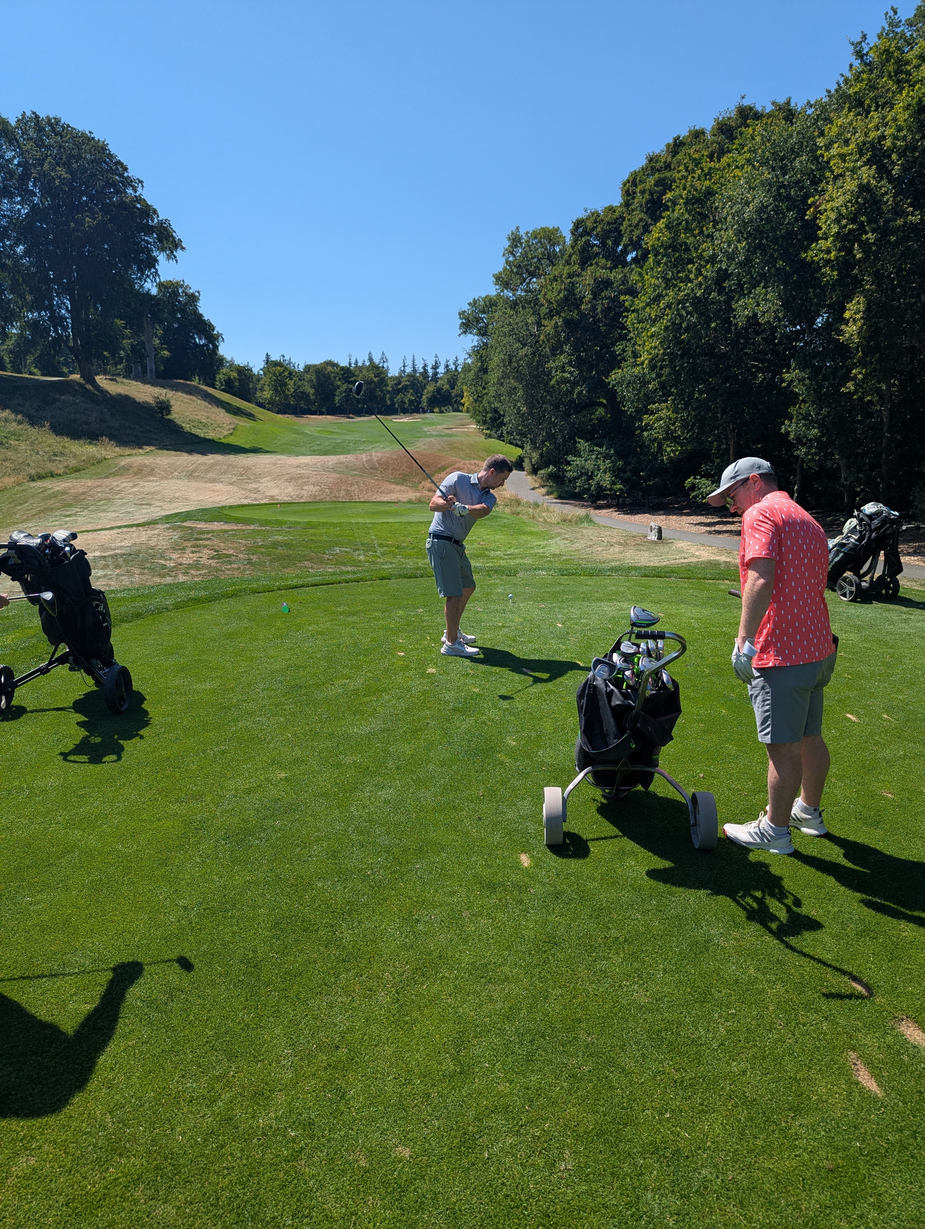 powerscourt photo 16