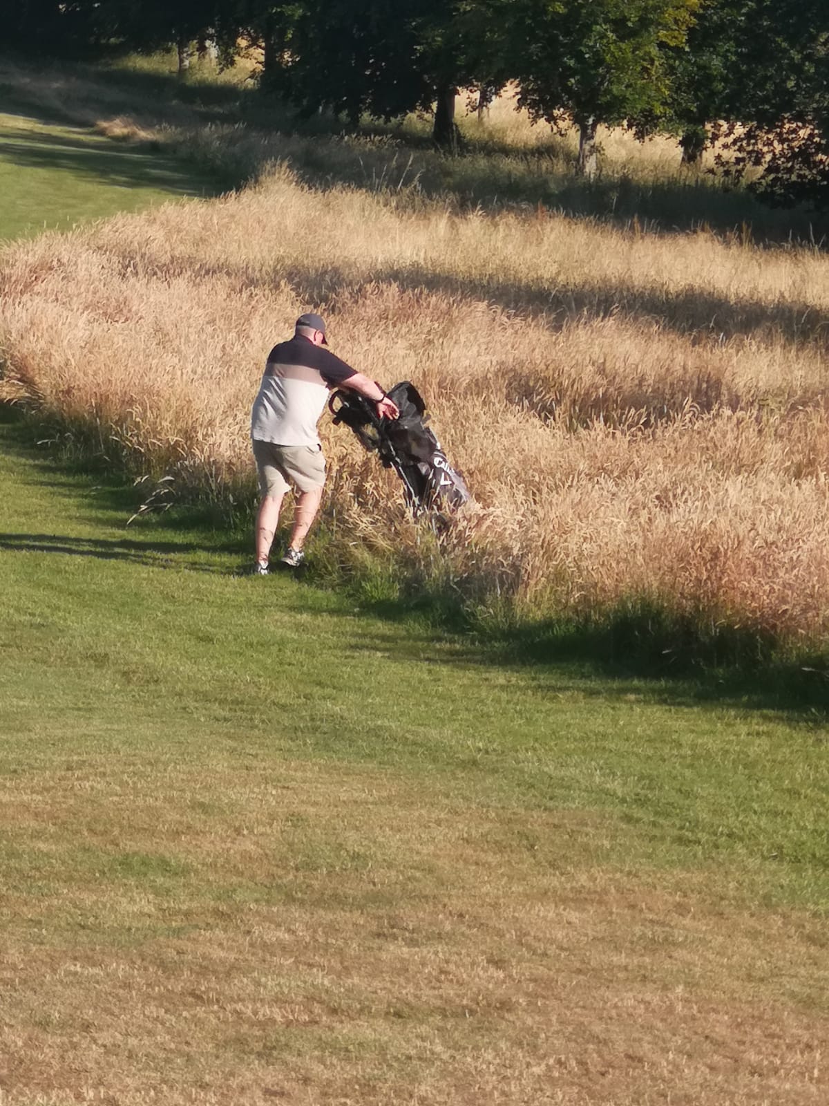 powerscourt photo 26