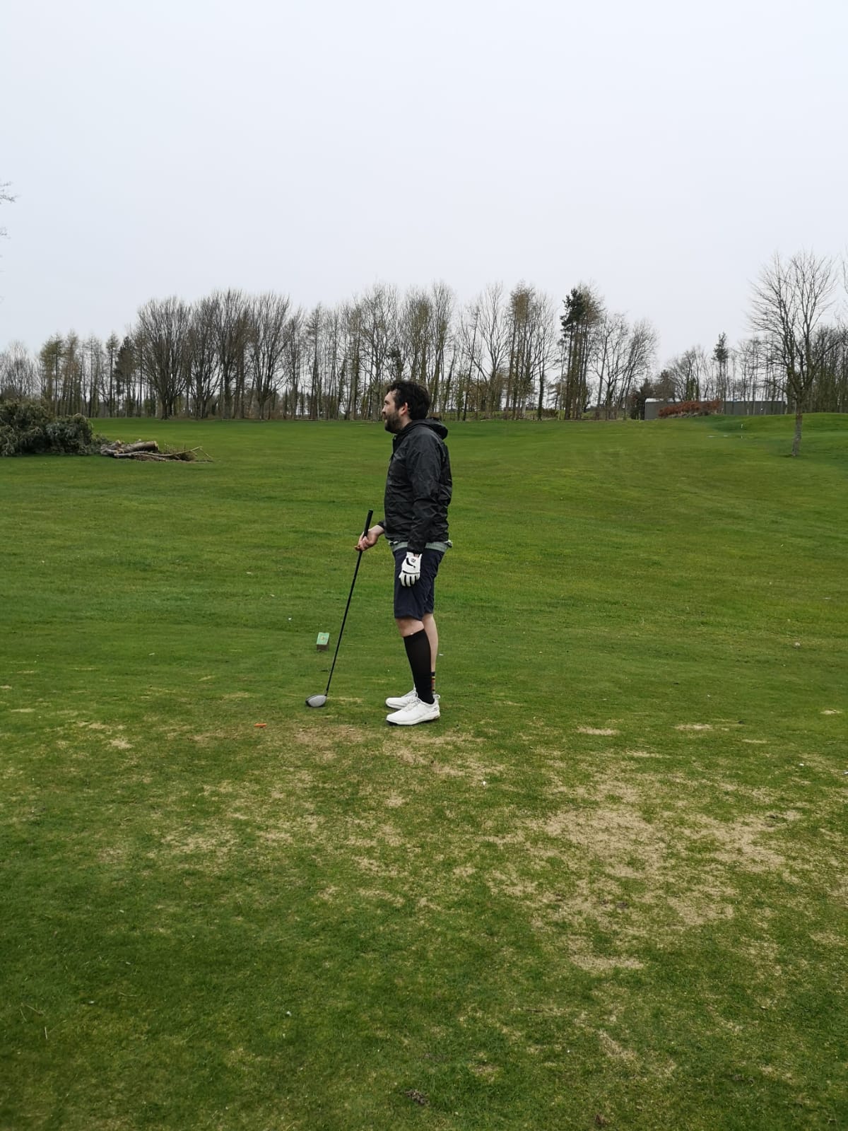 hollywood lakes photo 2