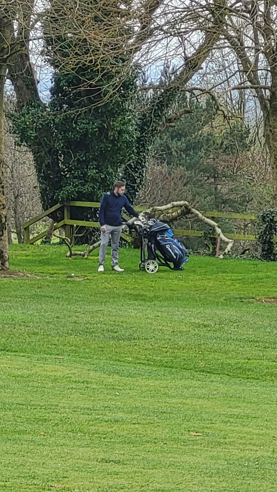 hollywood lakes photo 5