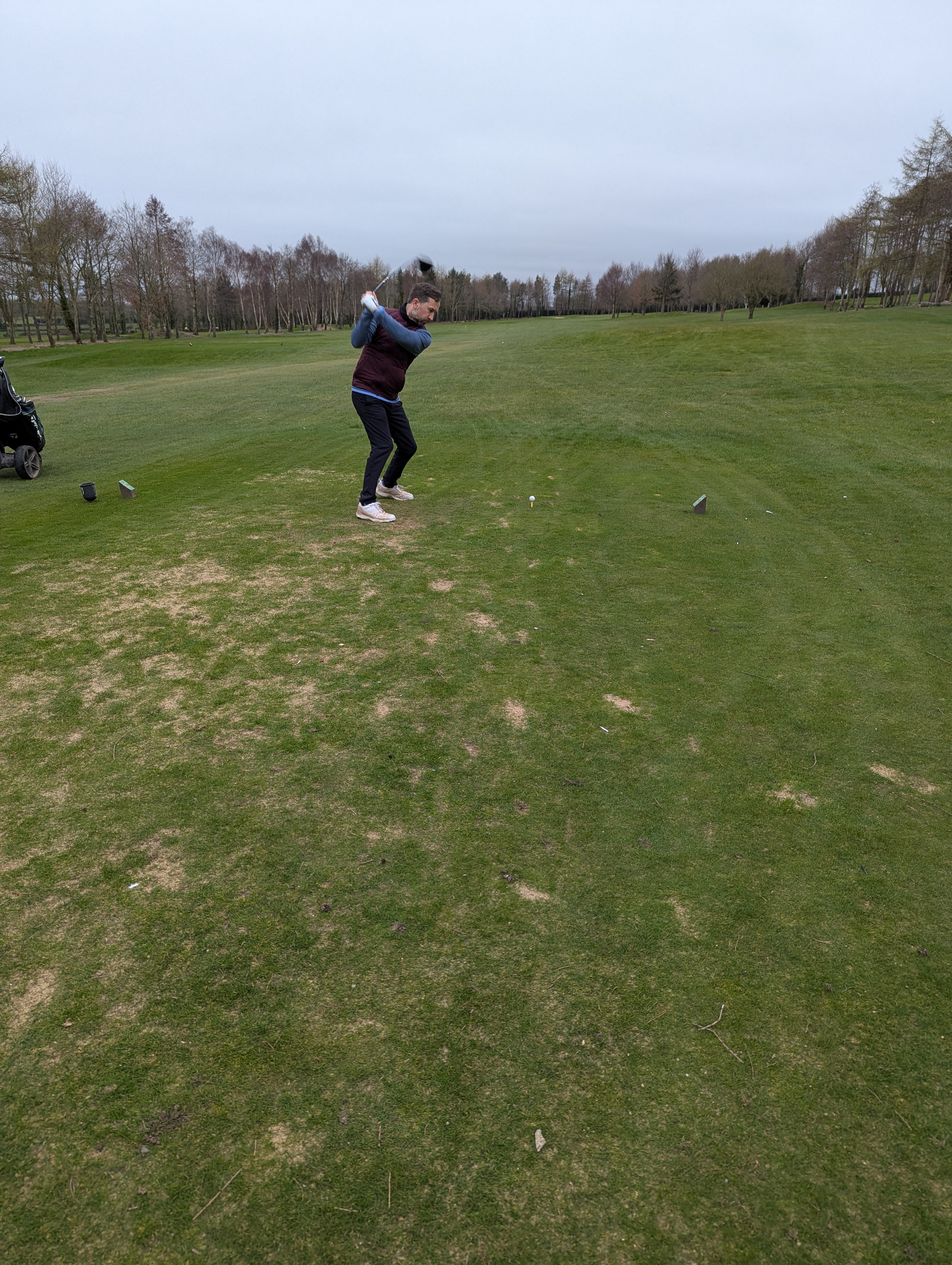 hollywood lakes photo 22