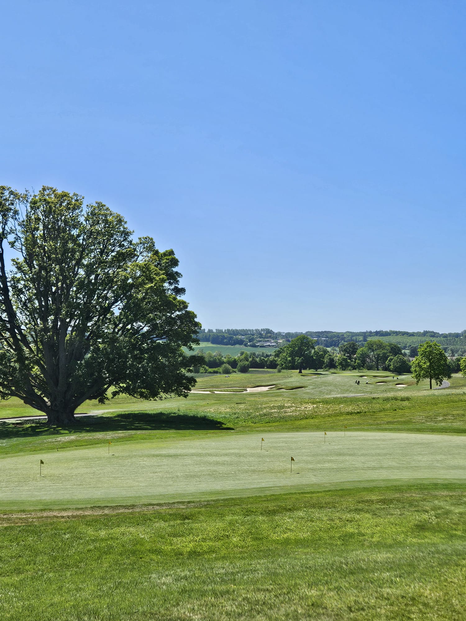 killeen castle photo 9