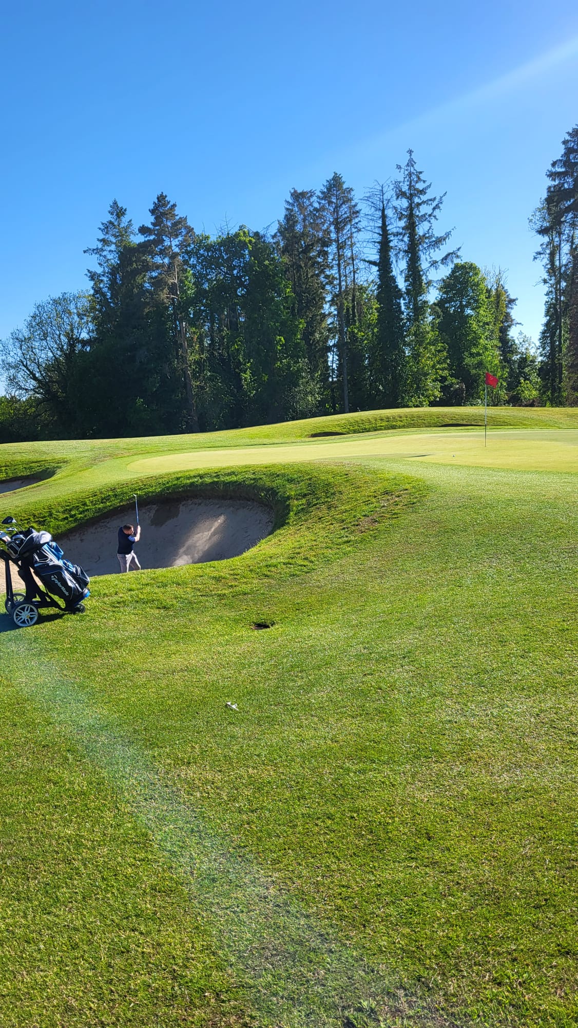 killeen castle photo 12